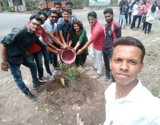  tree plantation 2019