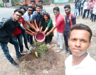 Tree Plantation